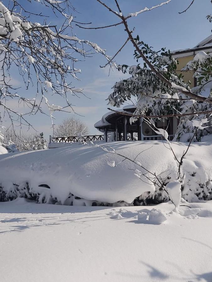 Villa Bizim Ev Sapanca Exterior foto