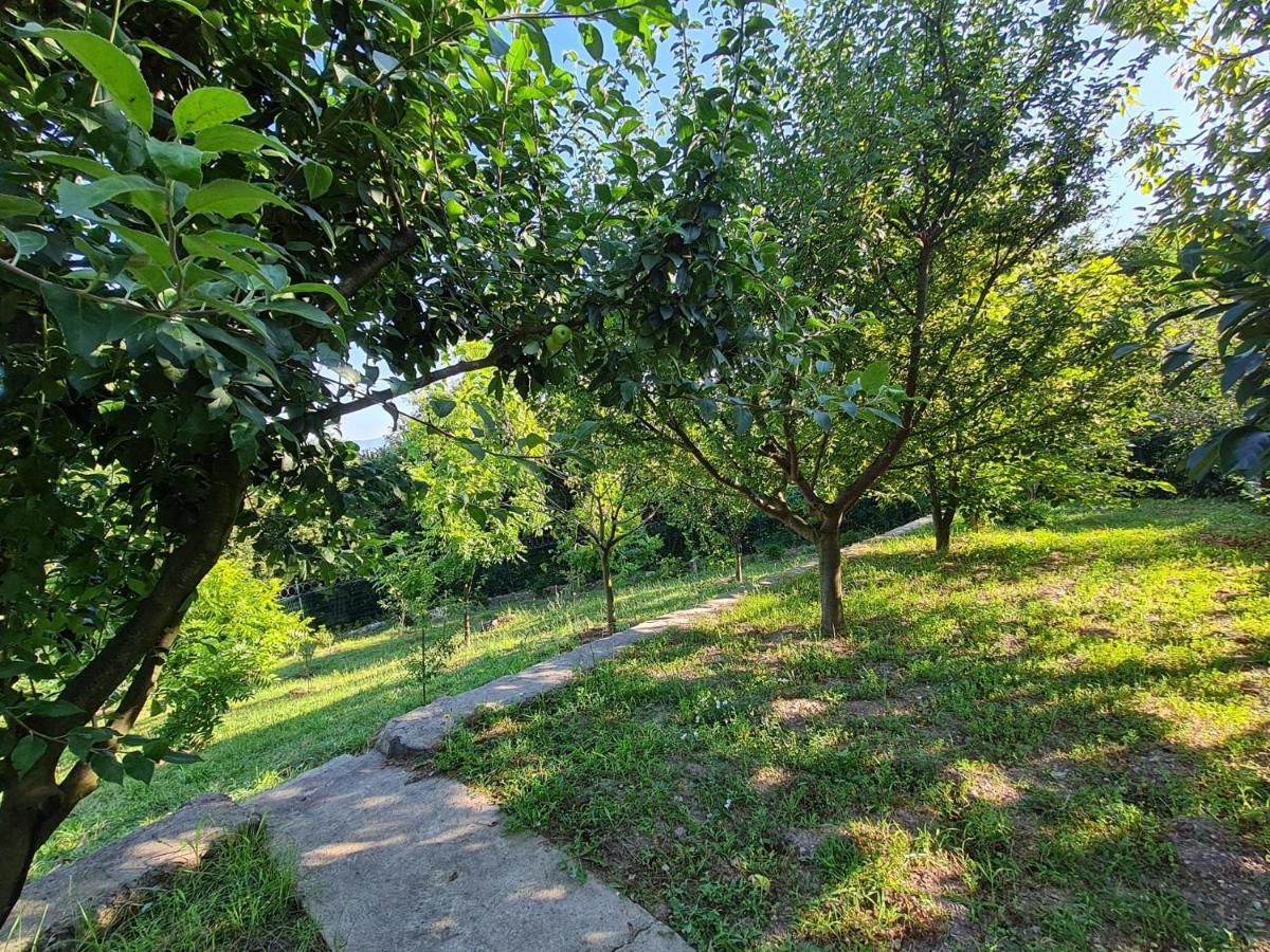 Villa Bizim Ev Sapanca Exterior foto